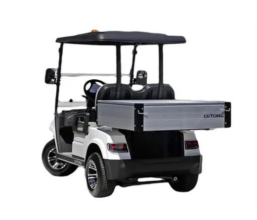 Picture of LV TONG 2025 2 Seat Short Wheel Base Utility Cart 80ah Lithium Battery